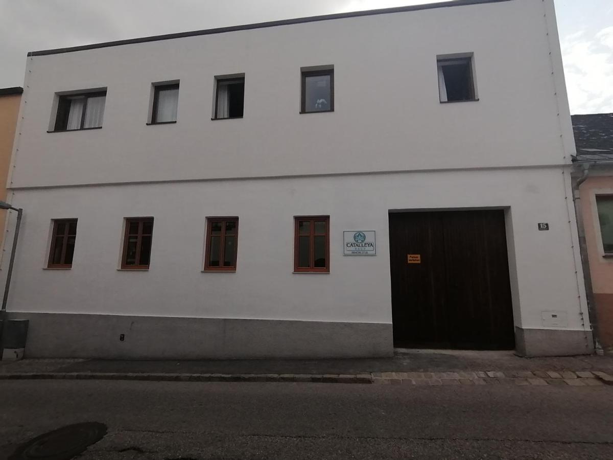 Catalleya Haus Langenlois Luaran gambar